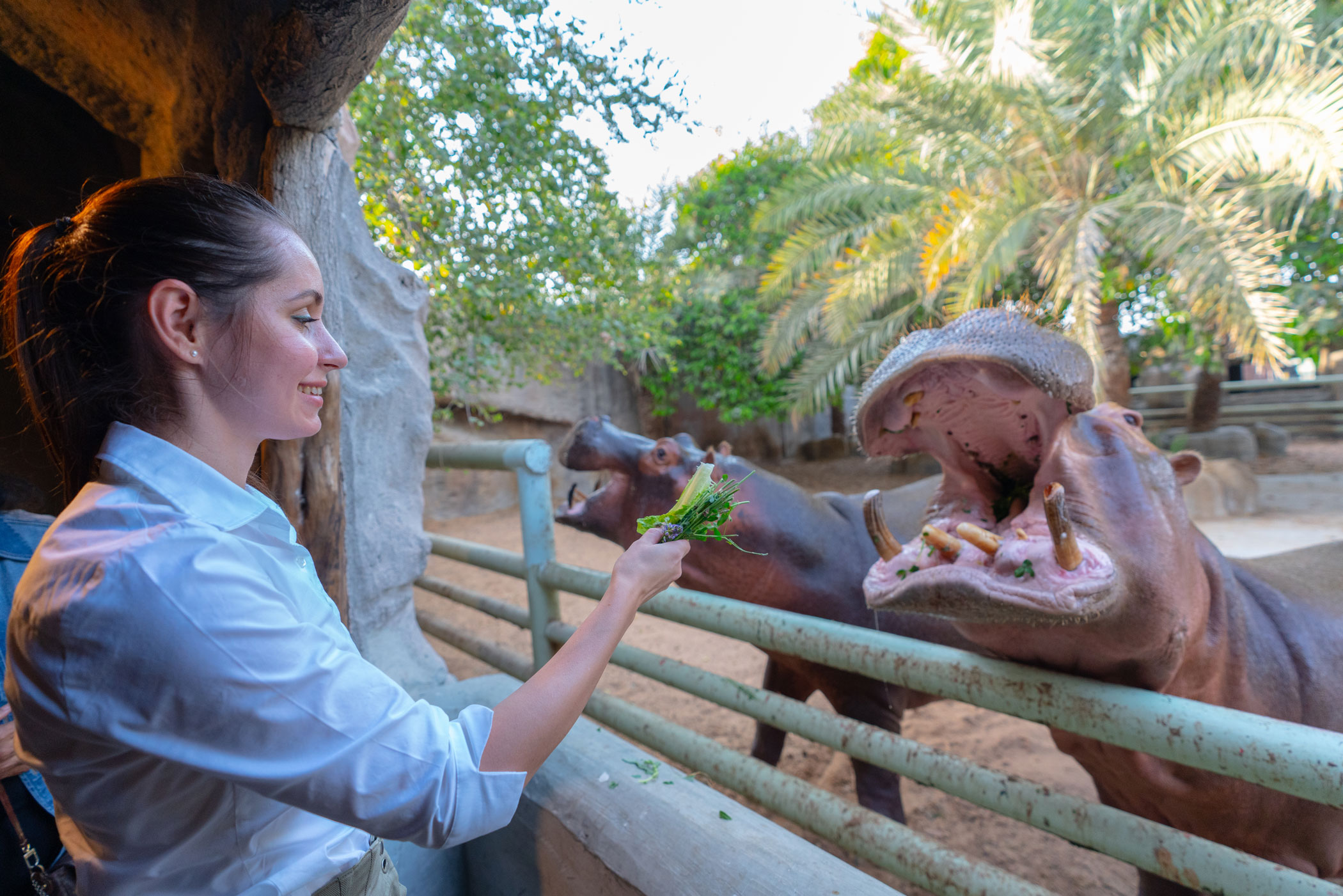 4. Karmienie zwierząt w Emirates Park Zoo